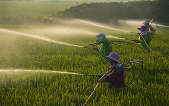 pesticide imports and exports in china increase in both quantity and value in the first half of this